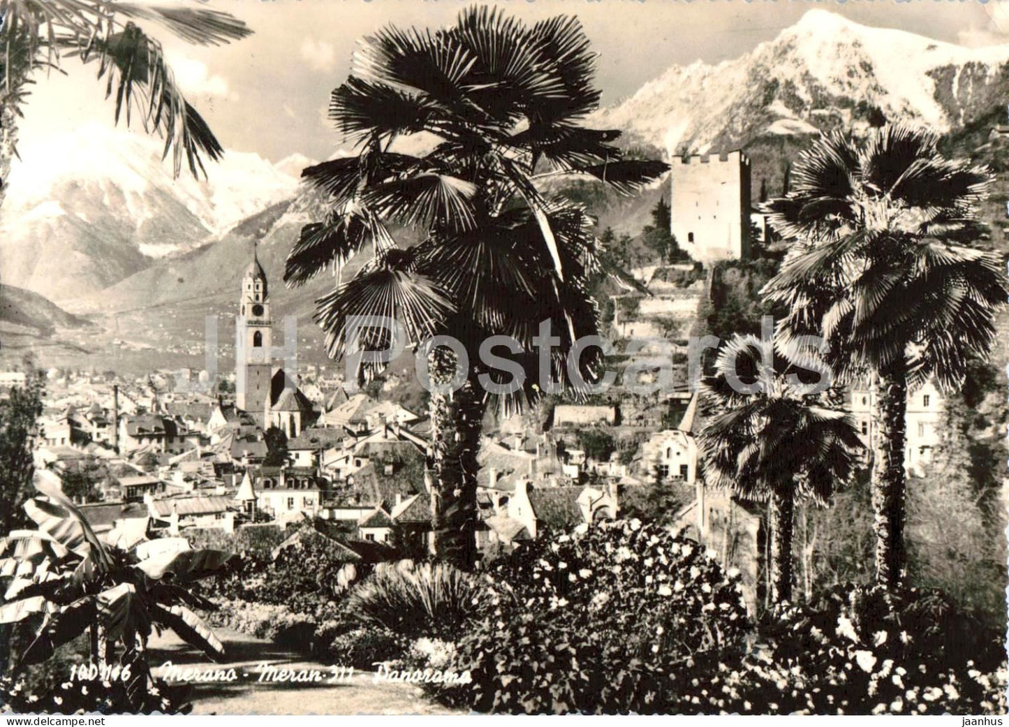 Merano - Meran - town panorama - palm trees - Alps - mountains - Panorama - 100-146 - old postcard - 1957 - Italy - used - JH Postcards