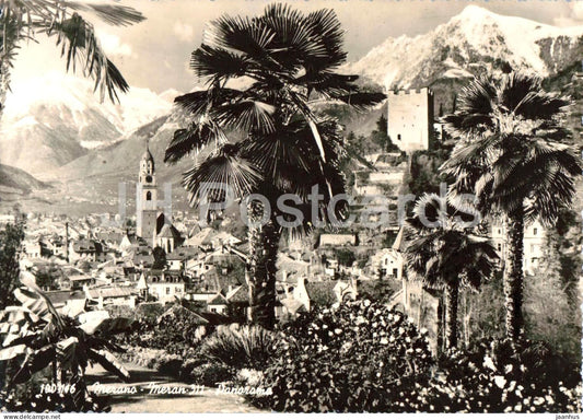 Merano - Meran - town panorama - palm trees - Alps - mountains - Panorama - 100-146 - old postcard - 1957 - Italy - used - JH Postcards