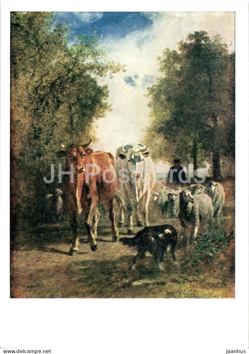 painting by Constant Troyon - Return of the Herd - cows - sheep - dog - French art - 1962 - Russia USSR - unused - JH Postcards