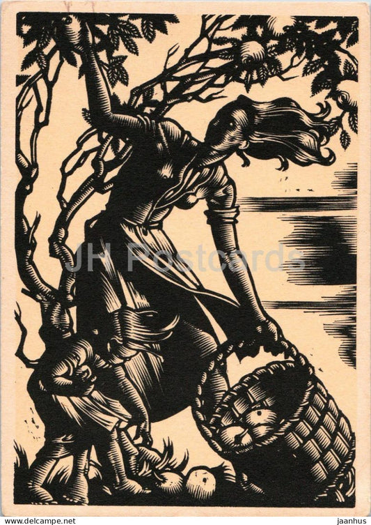 engraving by Hedwig zum Tobel - The Seasons Autumn - Herbst - German art - old postcard - 1950s - Germany - unused - JH Postcards