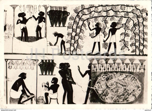 Thebes - Tombs of the Nobles - wine pressing birds snaring - ancient world - old postcard - Egypt - unused - JH Postcards