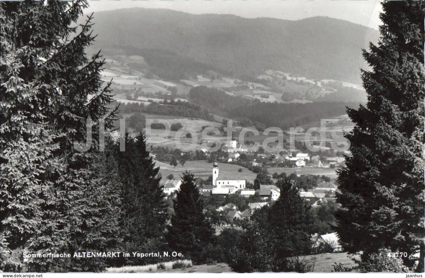 Sommerfrische Altenmarkt im Yspertal - N.O. - village view - church - alpine landscape - 43770 - 1962 - Austria - used - JH Postcards