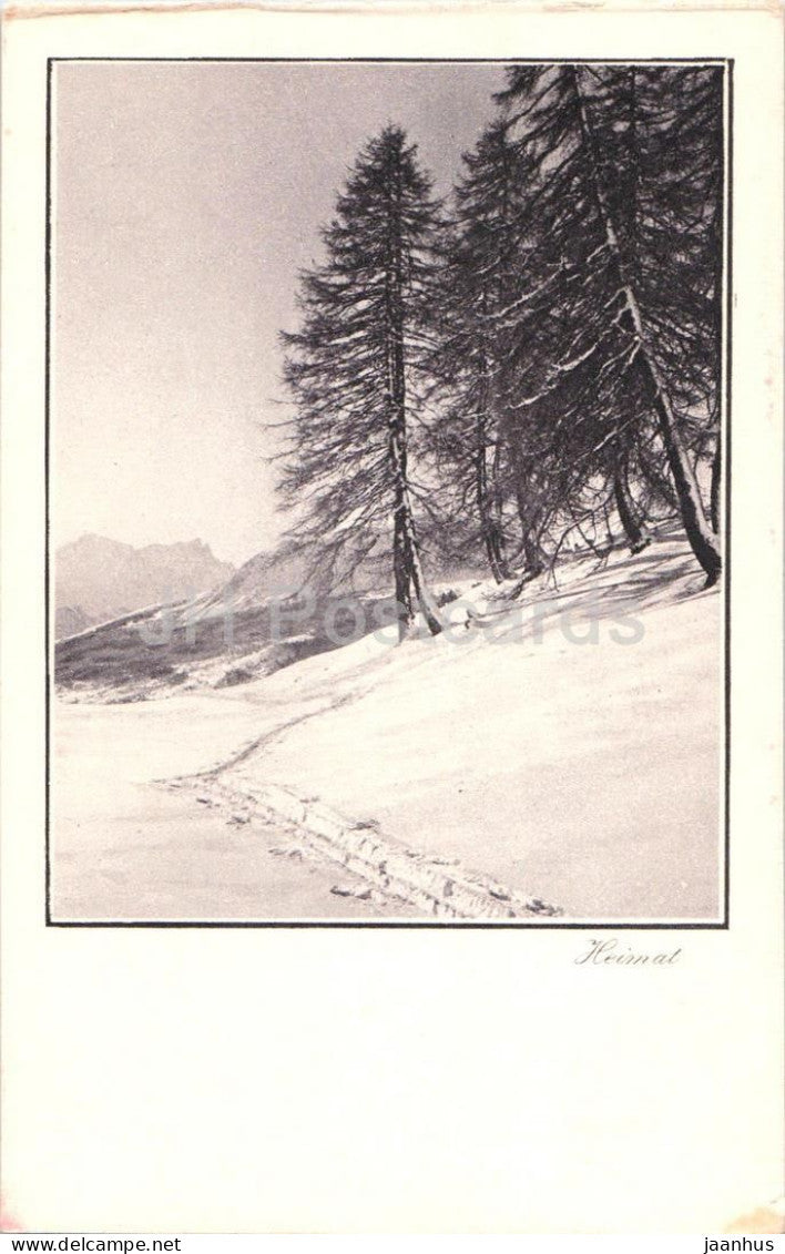 Heimat - trees on snowy slope with mountain view - Series - 2139 - old postcard - Switzerland - unused - JH Postcards