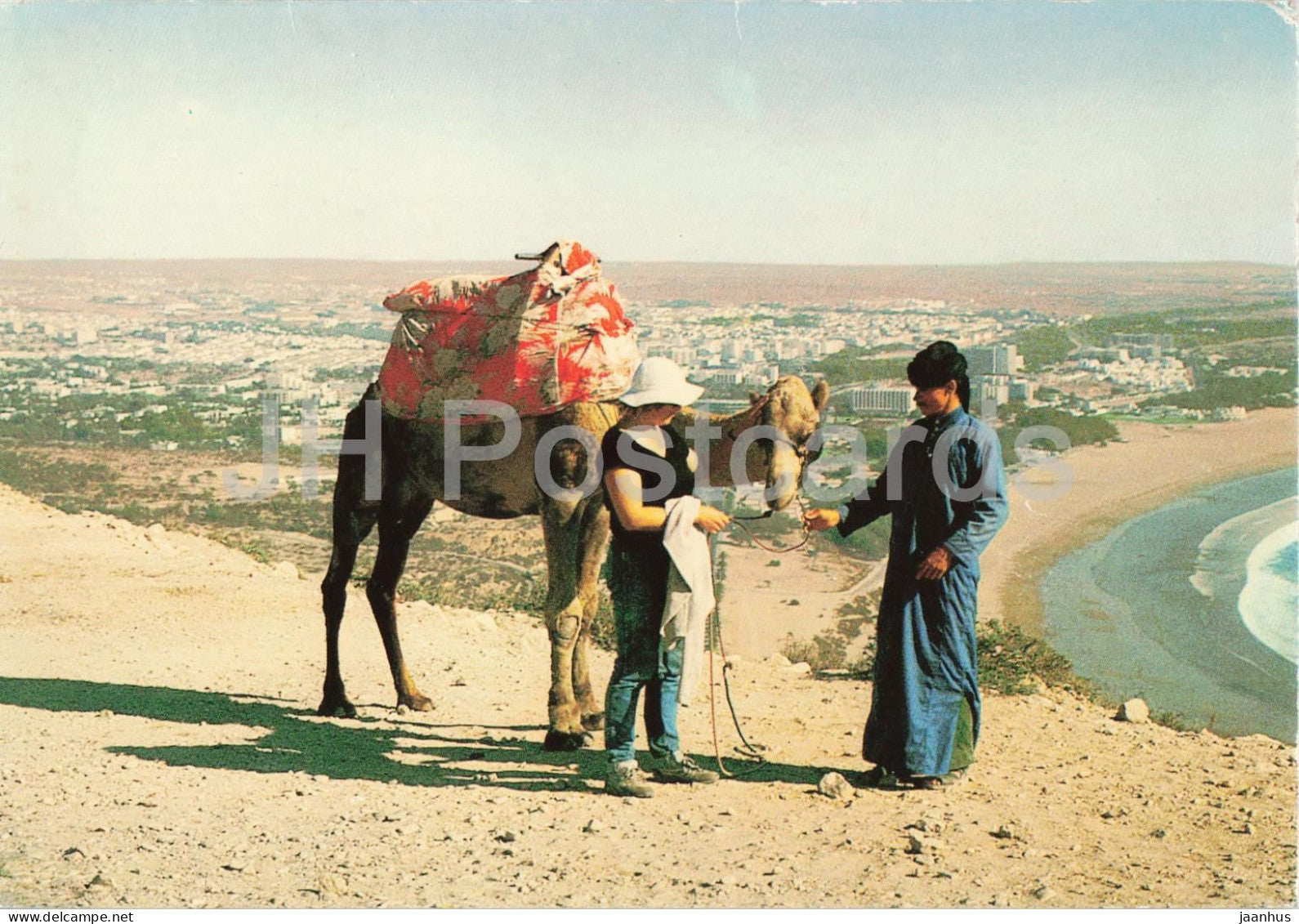 Agadir - Vue generale - General view - camel - animals - beach - city panorama - 1988 - Morocco - used - JH Postcards