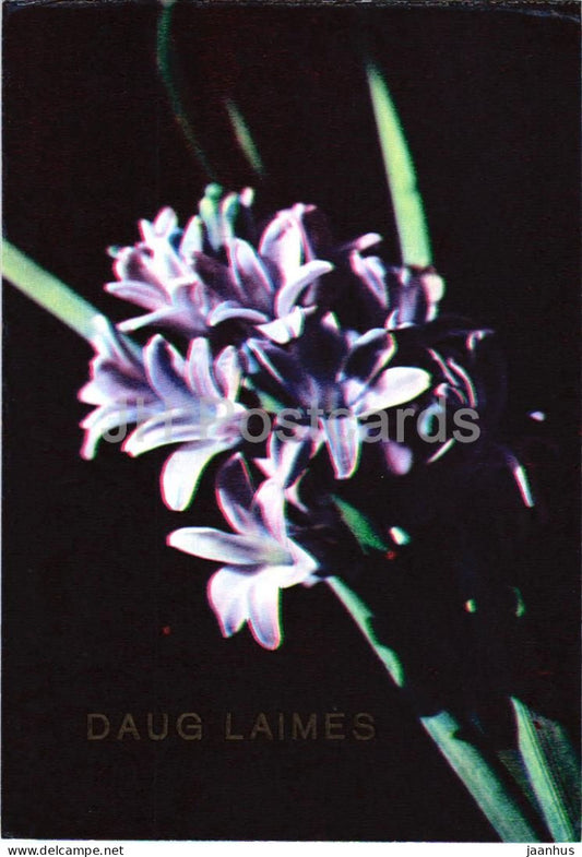 Greeting Card - Daug Laimes - Much happiness - blue flowers - Lithuania USSR - unused - JH Postcards