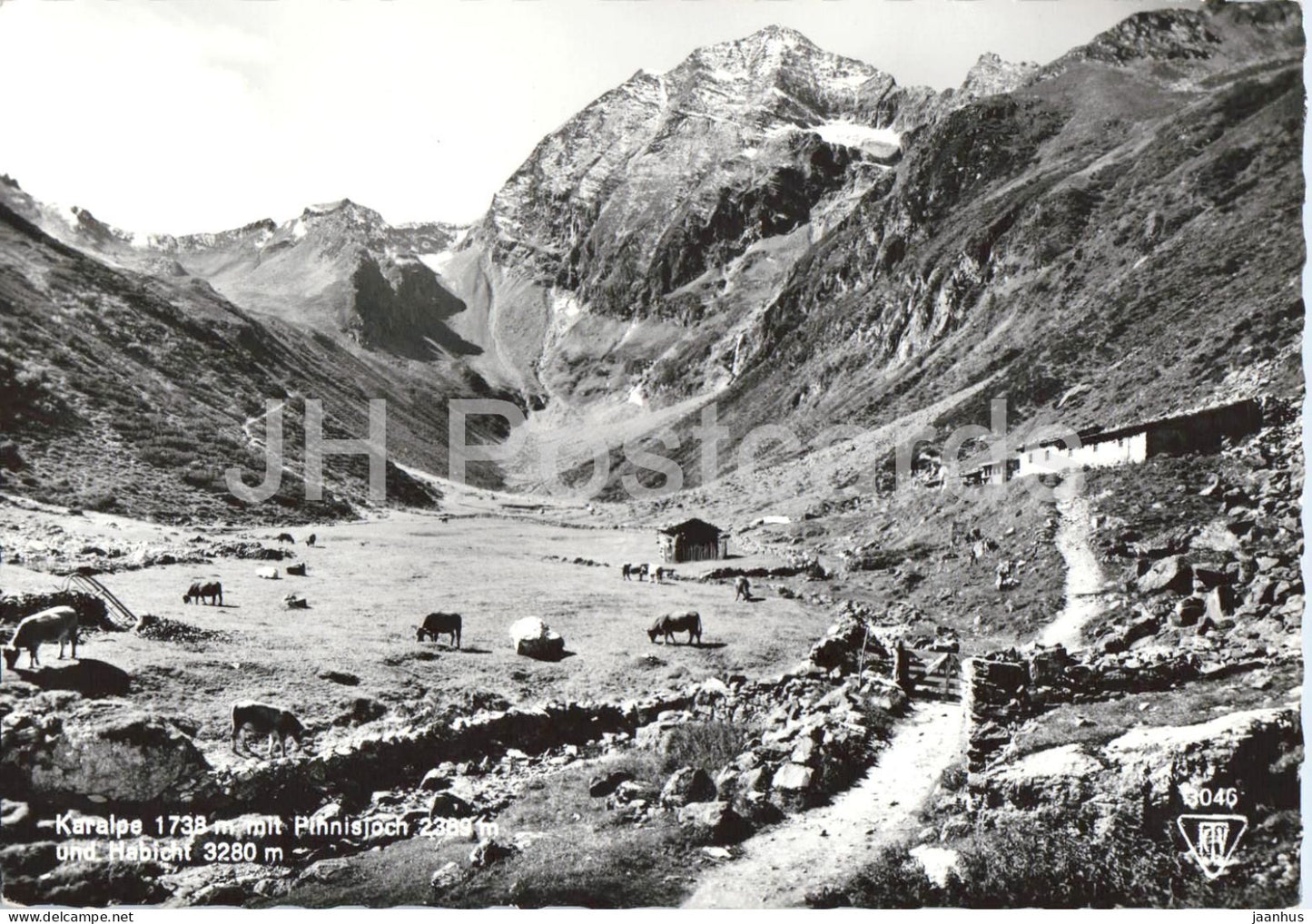 Karalpe 1738 m mit Pinnisjoch 2389 m und Habicht 3280 m - mountains - 3046 - old postcard - Austria - unused - JH Postcards