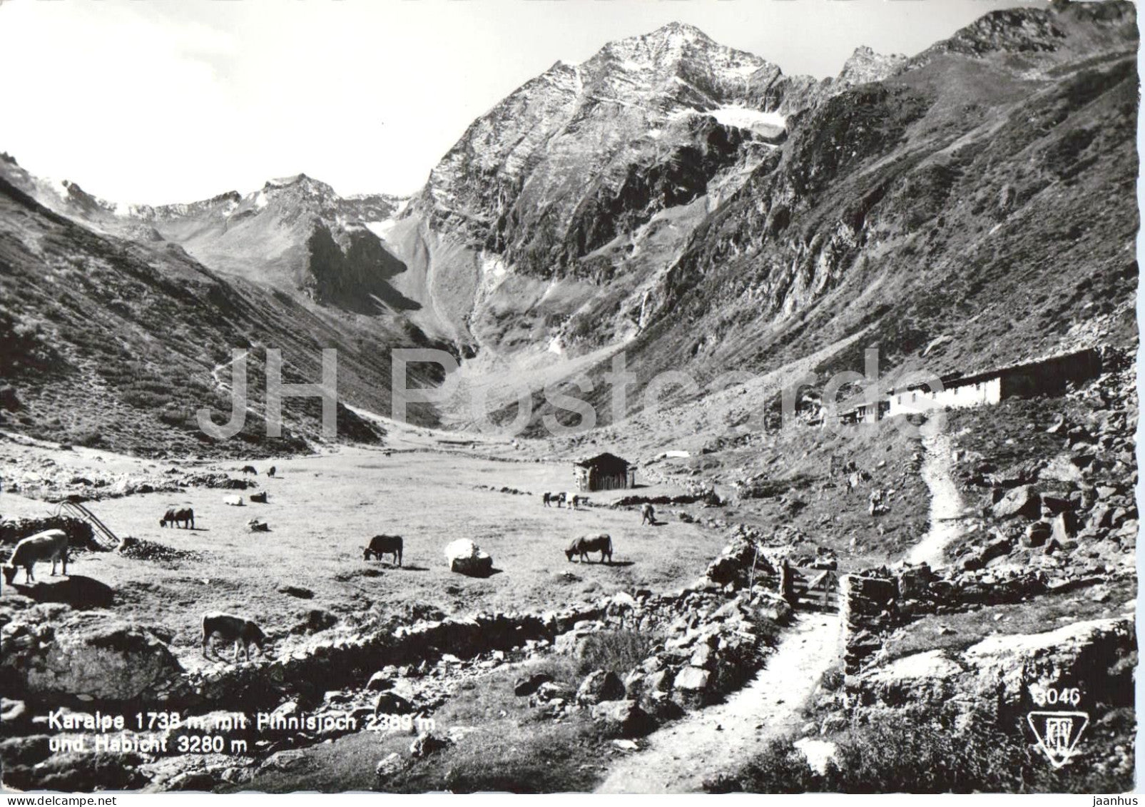 Karalpe 1738 m mit Pinnisjoch 2389 m und Habicht 3280 m - mountains - 3046 - old postcard - Austria - unused - JH Postcards