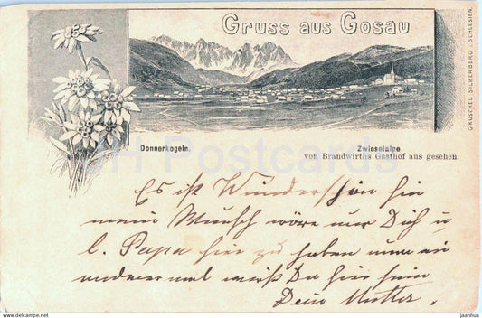 Gruss aus Gosau - Donnerkogel - Zwieselalpe - old postcard - 1898 - Austria - used - JH Postcards