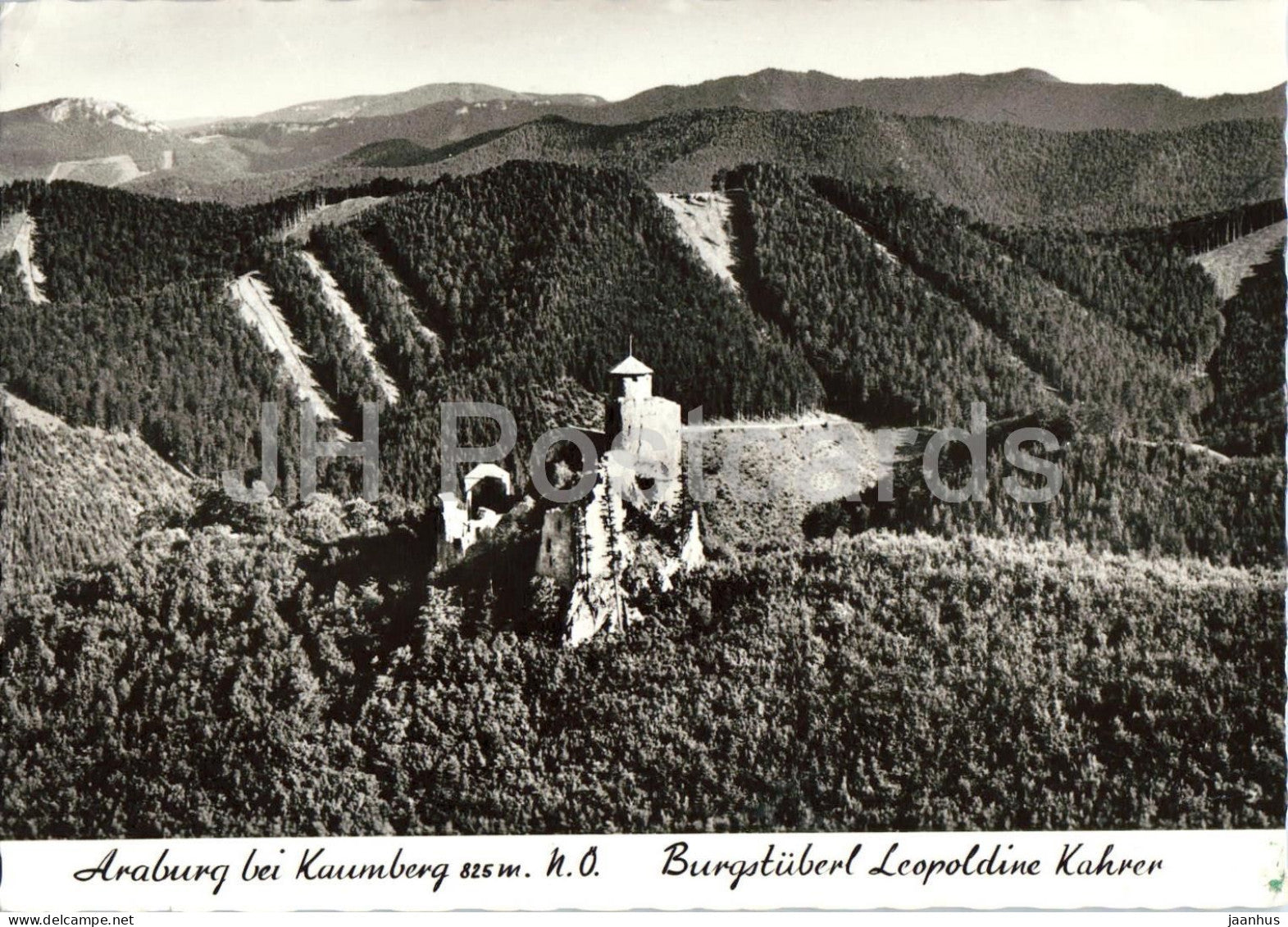 Araburg bei Kaumberg 825 m - Burgstuberl Leopoldine Kahrer - castle mountain landscape - old postcard - Austria - unused - JH Postcards