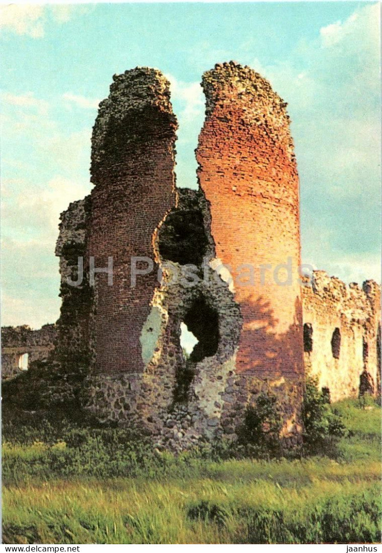Laiuse - Ruins of the Order Castle - historic castle ruins - architecture - 1970s - Estonia - USSR - used - JH Postcards