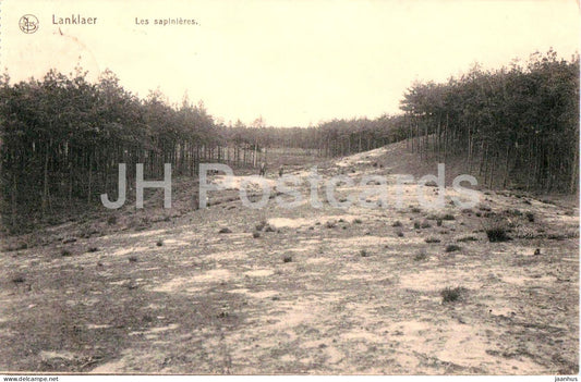 Lanklaer - Lanklaar - Les sapinieres - The Pine Forests - old postcard - 1913 - Belgium - used - JH Postcards