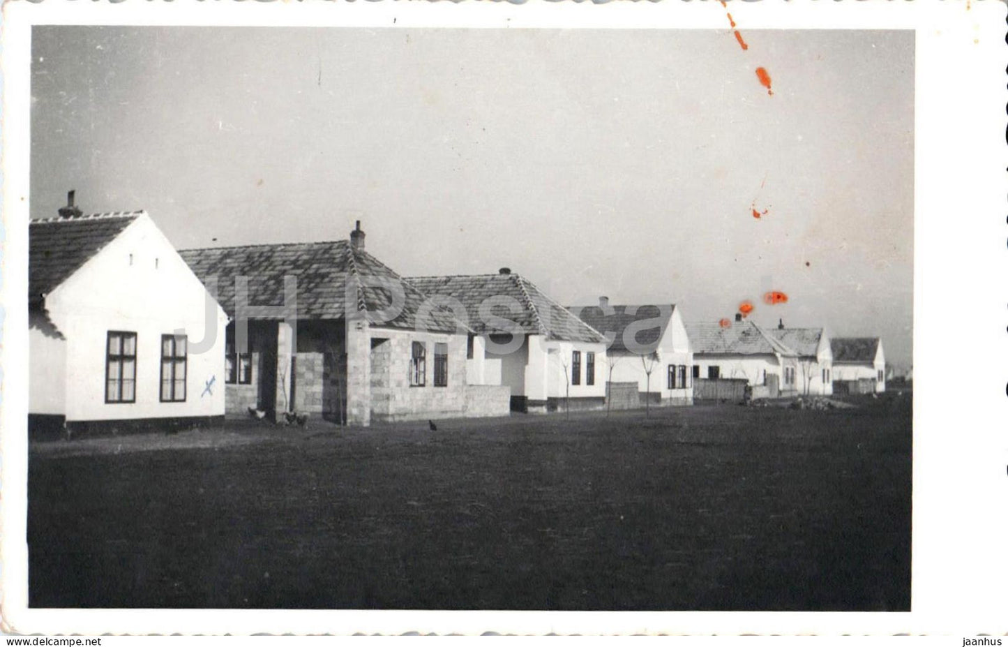 Apetlon - Neubaugasse - Village street with new row houses - old postcard - Austria - unused - JH Postcards