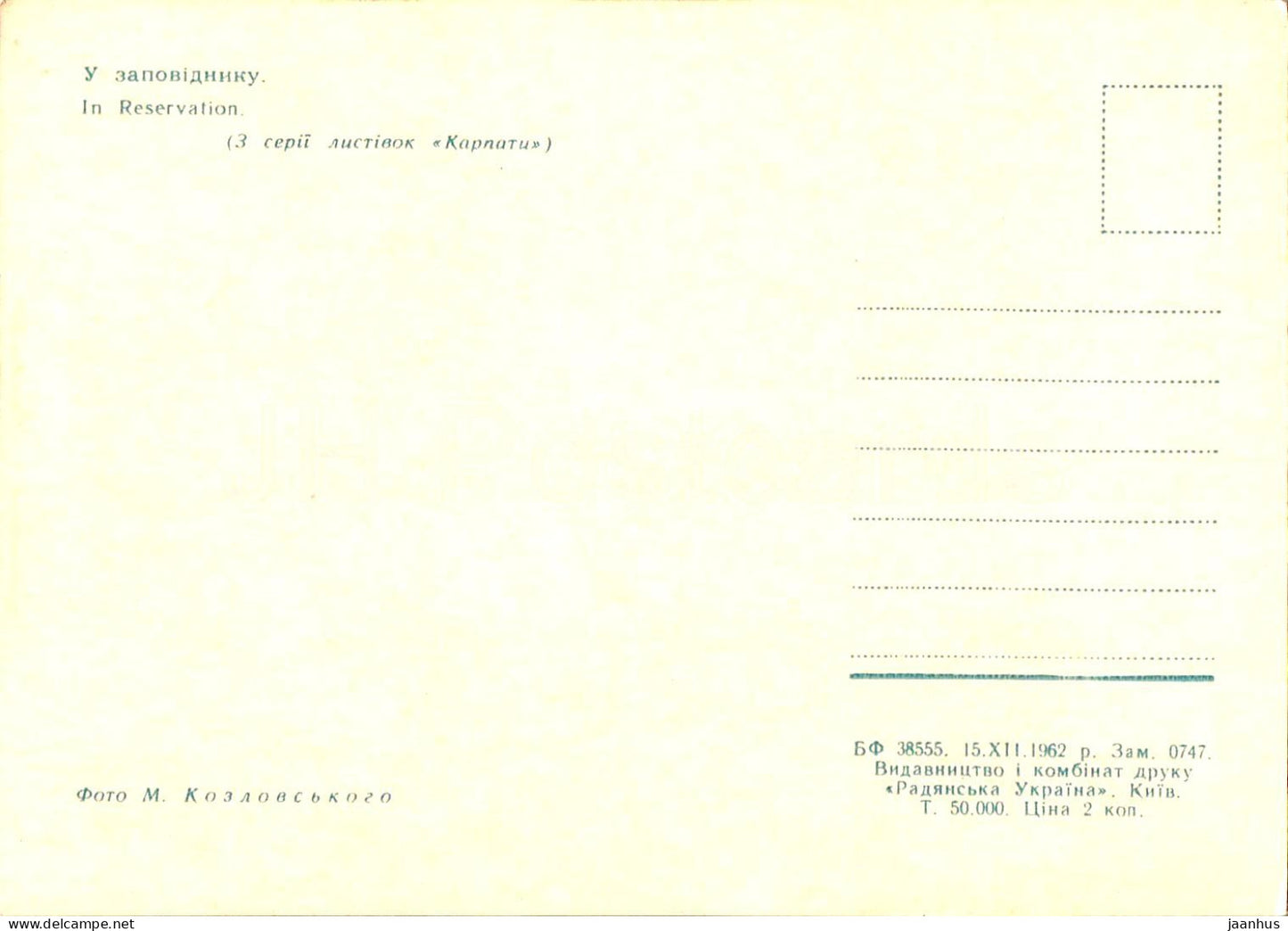 Carpathian Mountains - Karpaty - In reservation - deer - 1962 - Ukraine USSR - unused