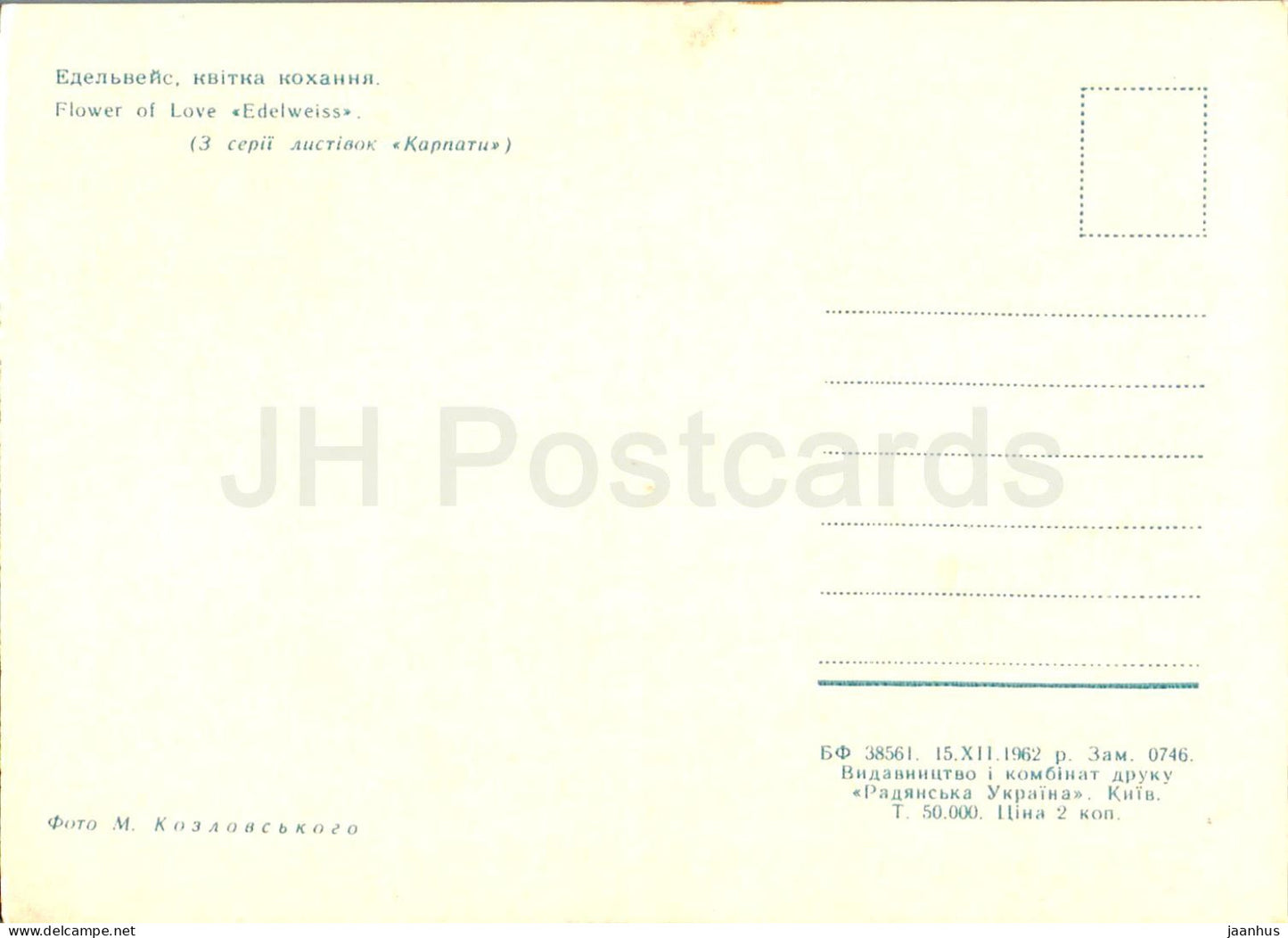Carpates - Karpates - Fleur d'Amour Edelweiss - 1962 - Ukraine URSS - inutilisé 