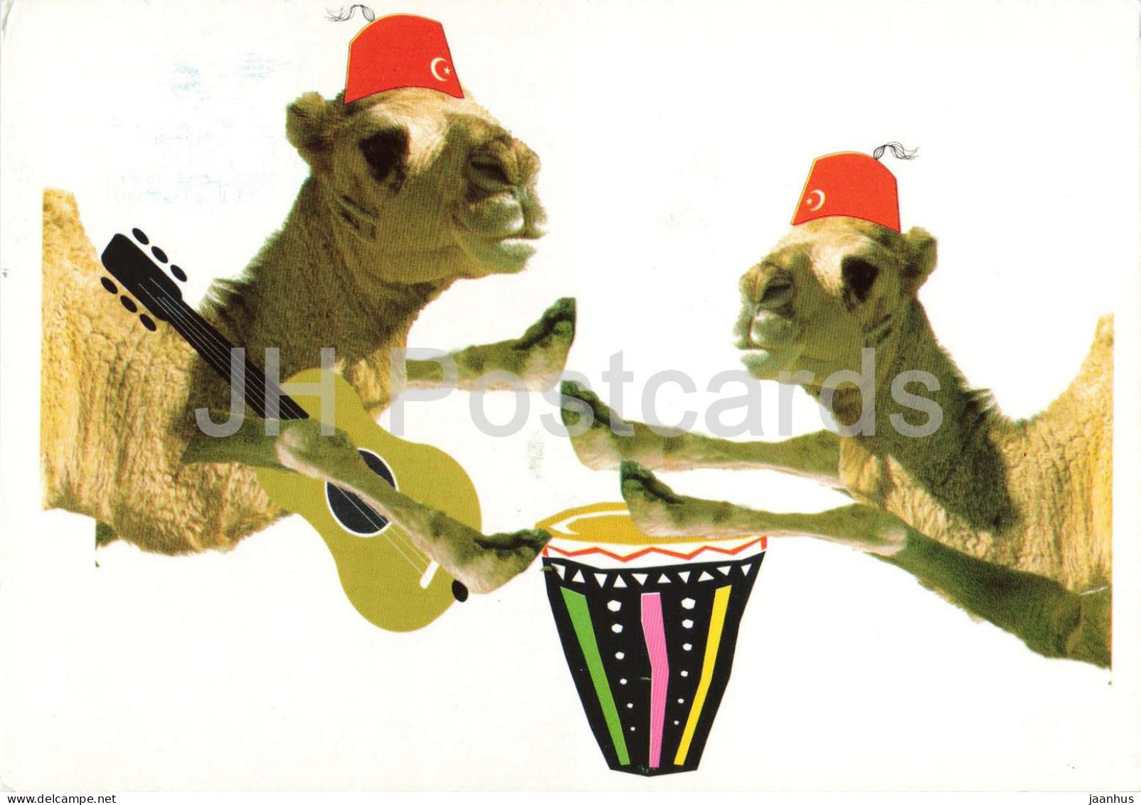 Chameaux Tunisie - Camels of Tunisia - funny camels - guitar - drum - 2010 - Tunisia - used - JH Postcards