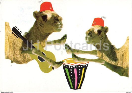 Chameaux Tunisie - Camels of Tunisia - funny camels - guitar - drum - 2010 - Tunisia - used - JH Postcards