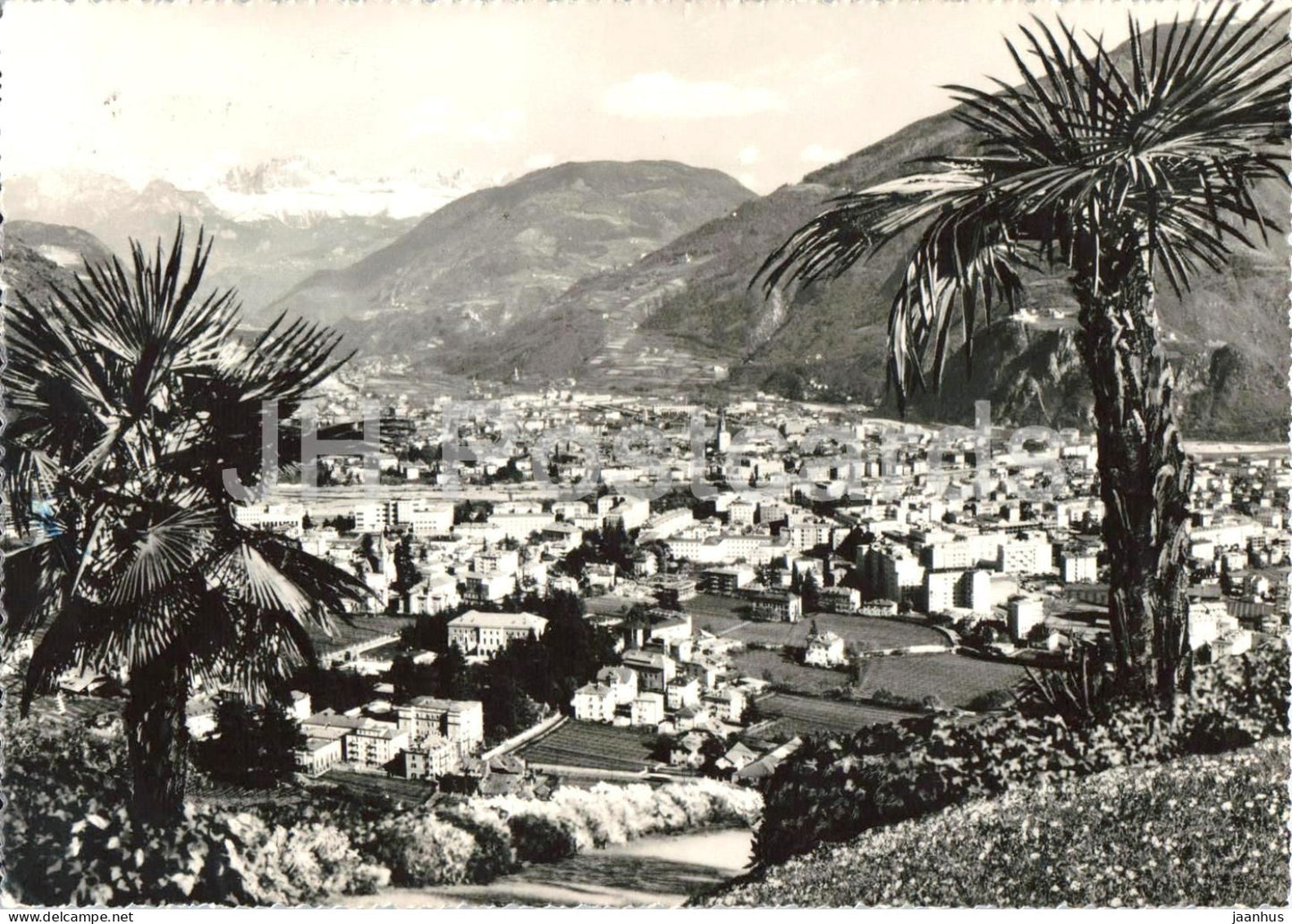 Bolzano - Bozen - Panorama verso il Catinaccio city panorama palms Dolomites 12597 - old postcard - 1959 - Italy - used - JH Postcards