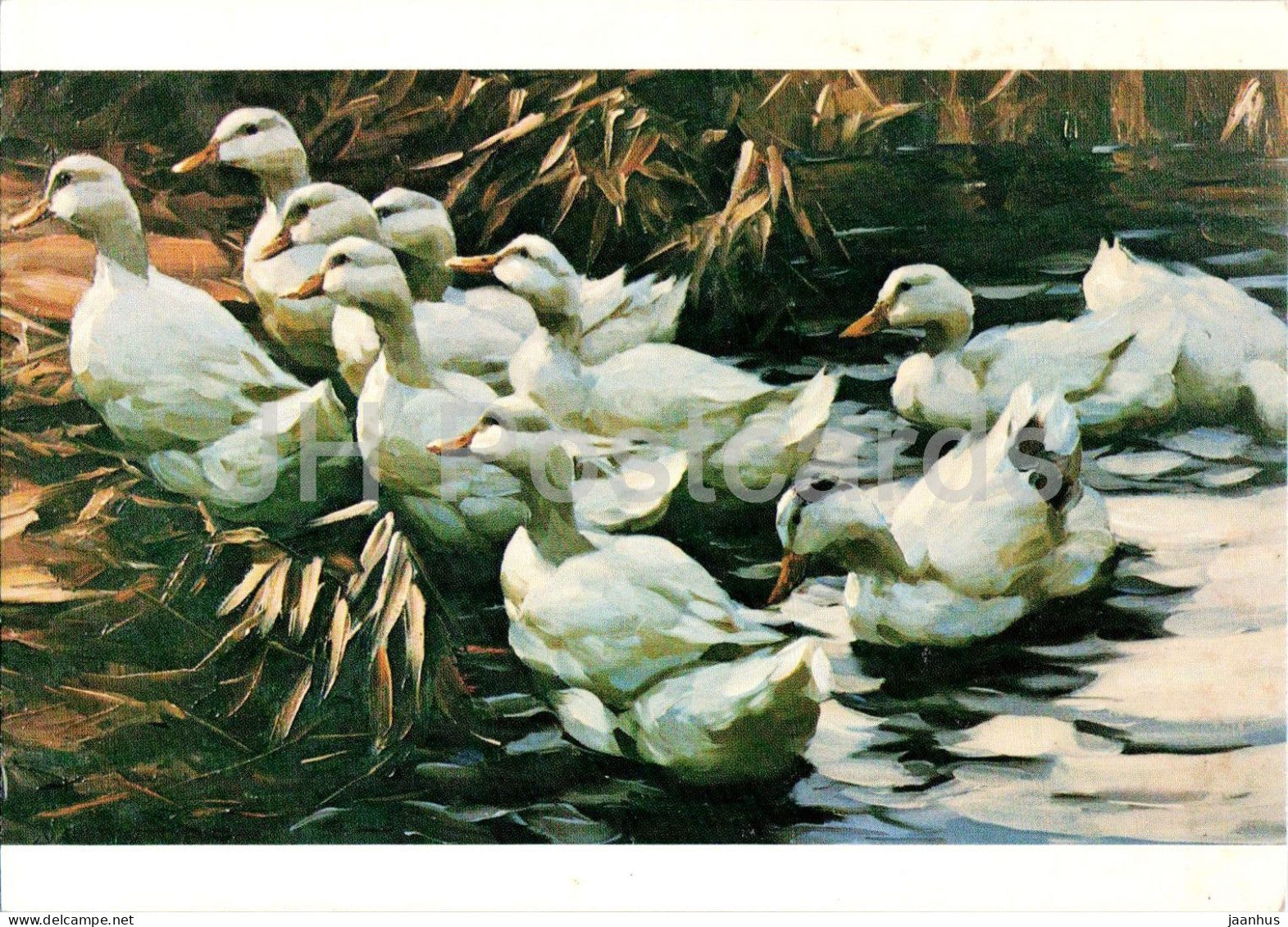 painting by Alexander Max Koester - Entenherde - Ducks Leaving the Pond - birds - German art - 1976 - Germany - unused - JH Postcards