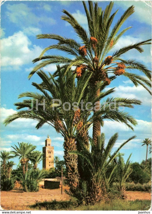 Marrakesh - Vue sur la Koutoubia - View of Koutoubia - palm trees mosque - 1990 - Morocco - used - JH Postcards