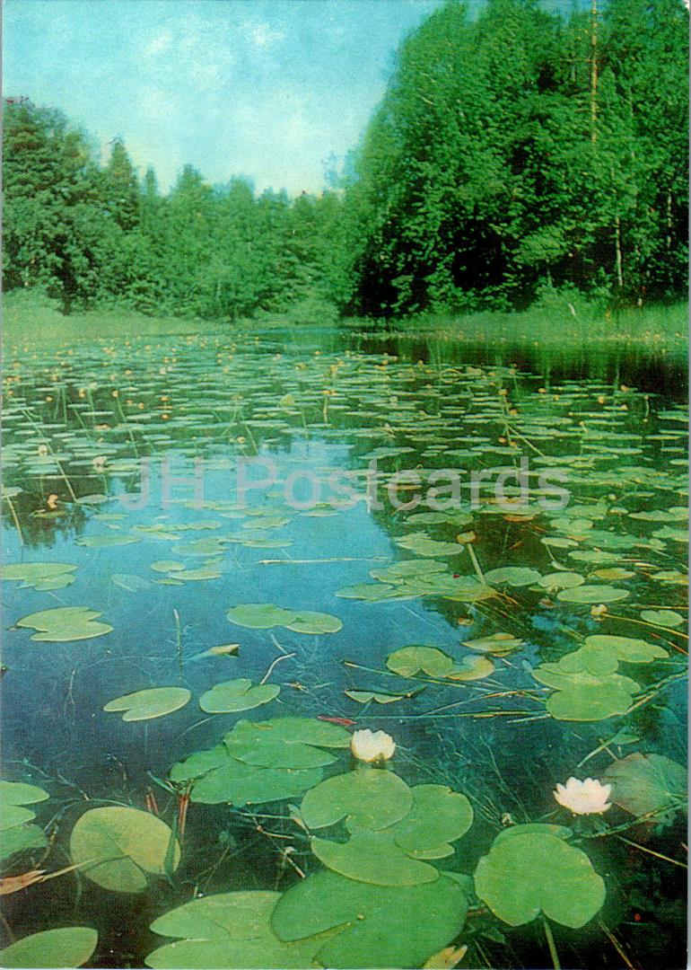 Arhangelsk region - Siya Lakes - 1988 - Russia USSR - unused