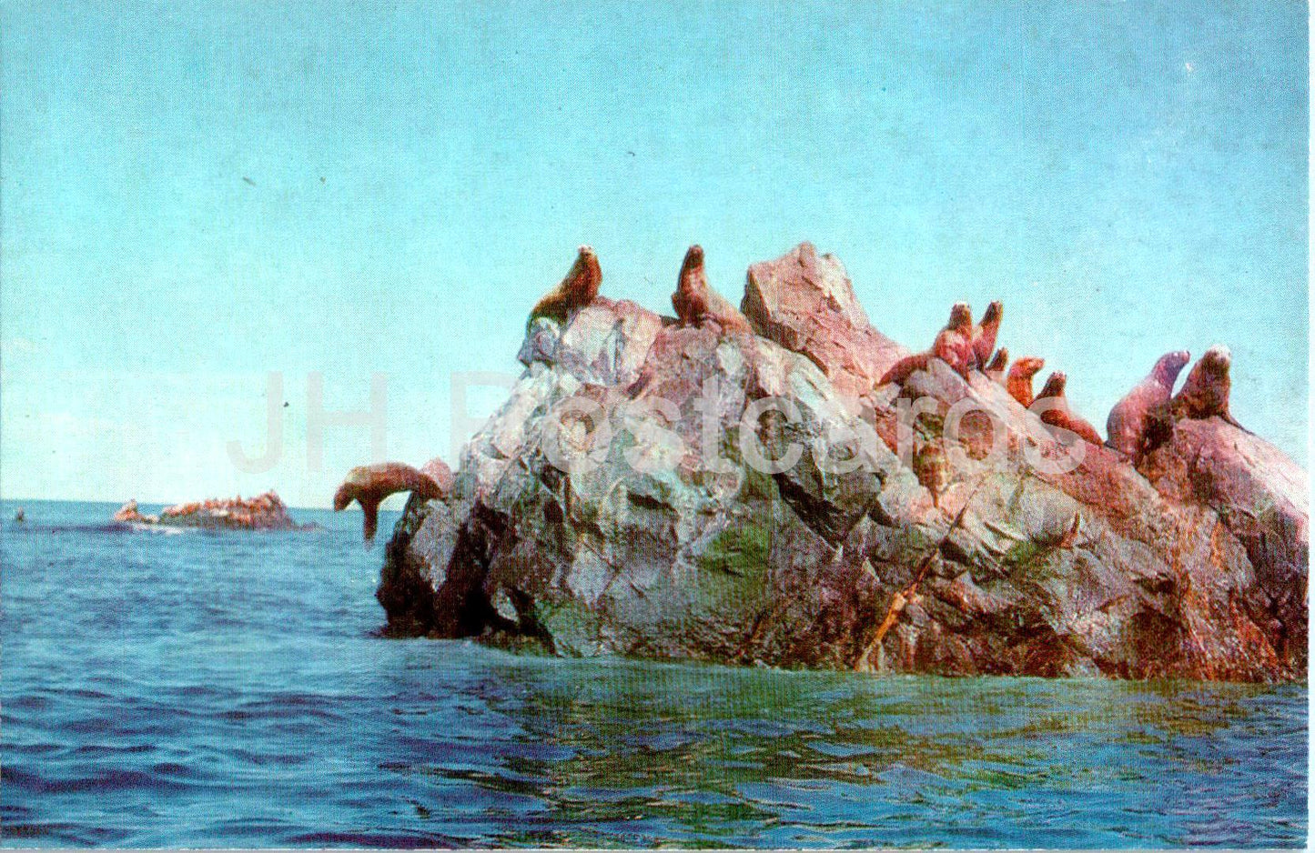 Koryak Autonomous District - Sea lion stones near Verkhoturov Island - animals - 1988 - Russia USSR - unused
