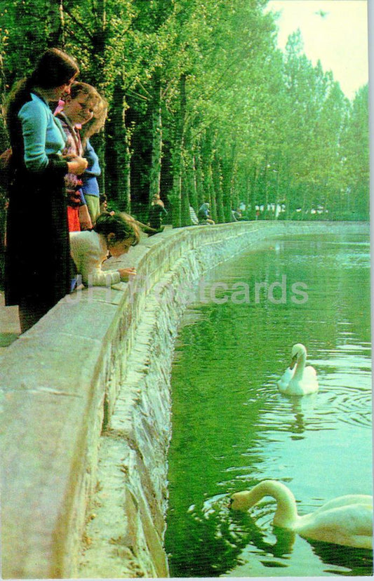 Ternopil - Shevchenko park - birds - swan - 1979 - Ukraine USSR - unused