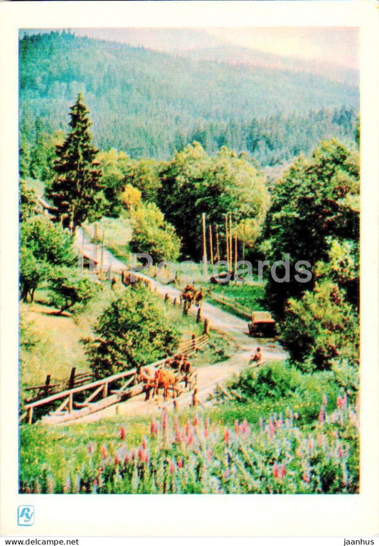 Carpathian Mountains - Karpaty - In the Valley - 1962 - Ukraine USSR - unused - JH Postcards