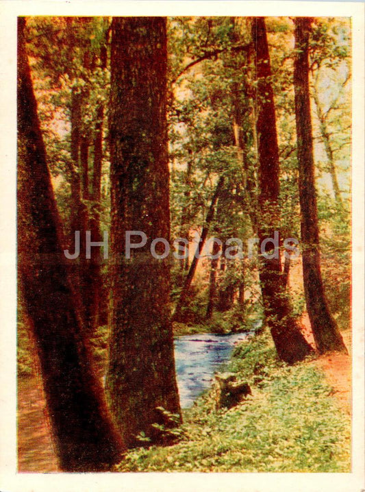 Druskininkai - Ratnycele - Lithuania USSR - unused