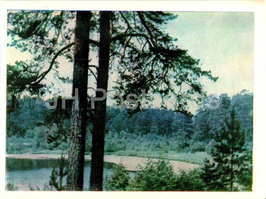 Druskininkai - Lake Maiden Eyes - Lithuania USSR - unused