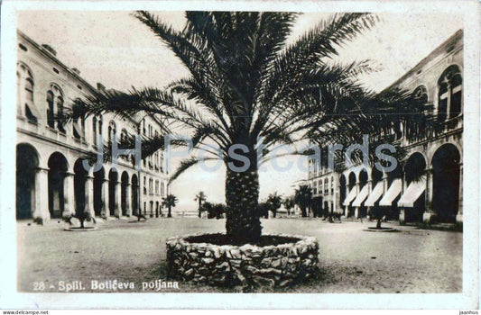 Split - Boticeva poljana - Botic Square - palm tree - square - 28 - old postcard - 1930 - Croatia - used - JH Postcards