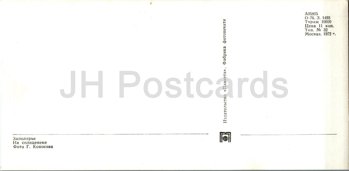 Polar Region - in the sunshine - seal - animals - 1972 - Russia USSR - unused