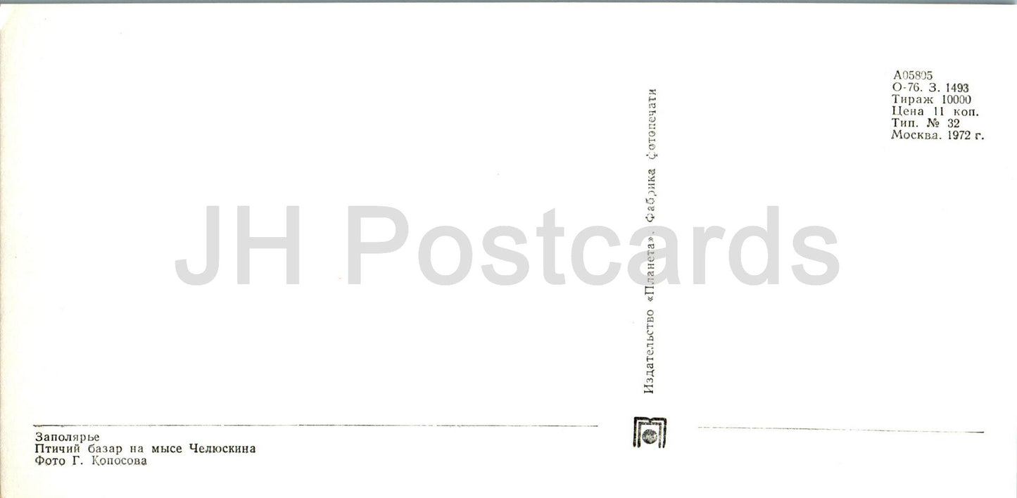 Polar Region - birds at Cape Chelyuskin - 1972 - Russia USSR - unused