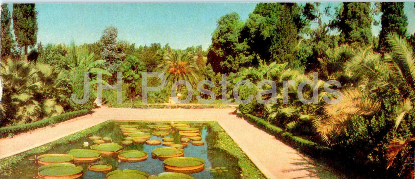 Soukhoumi - Jardins botaniques - Abkhazie - 1969 - Géorgie URSS - inutilisé 