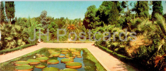 Suchumi – Botanischer Garten – Abchasien – 1969 – Georgien UdSSR – unbenutzt 