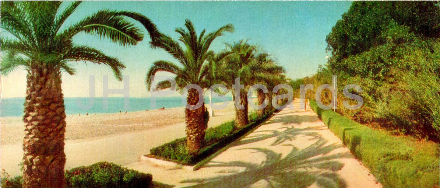Gagra - Allée de palmiers au bord de la mer - Abkhazie - 1969 - Géorgie URSS - inutilisé 