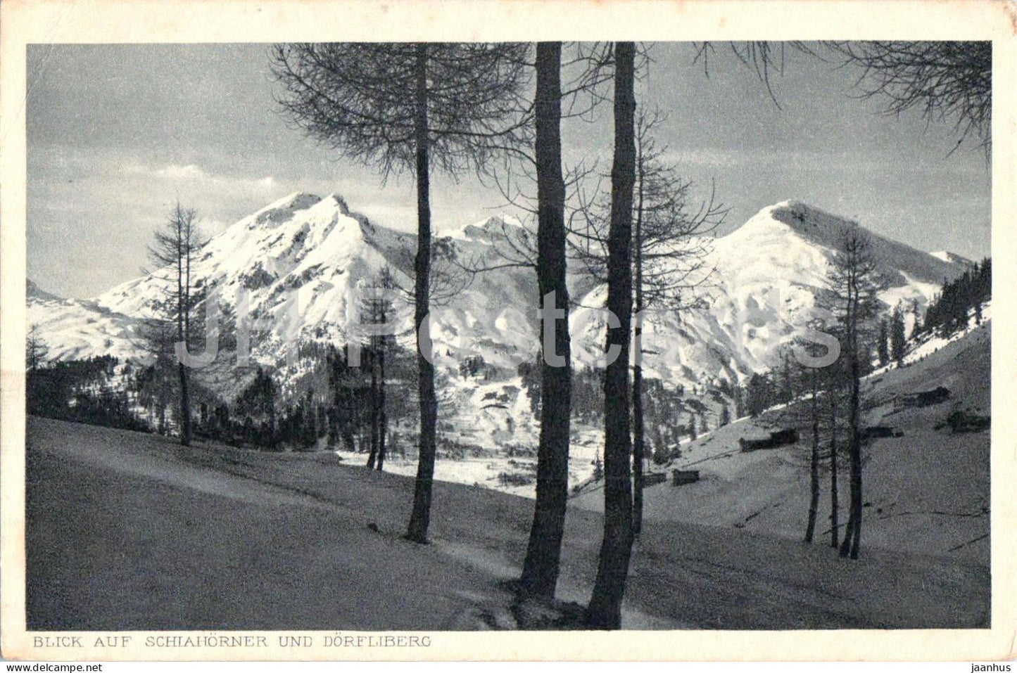 Blick auf Schiahorner und Dorfliberg - mountain - winter - forest - Alps - 137 - old postcard - Switzerland - unused - JH Postcards