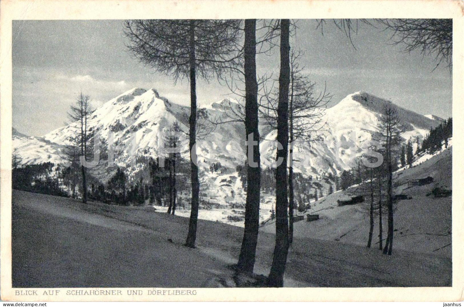 Blick auf Schiahorner und Dorfliberg - mountain - winter - forest - Alps - 137 - old postcard - Switzerland - unused - JH Postcards