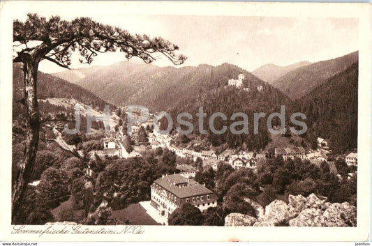 Sommerfrische Gutenstein - town view - No. 21418 - old postcard - 1924 - Austria - used - JH Postcards