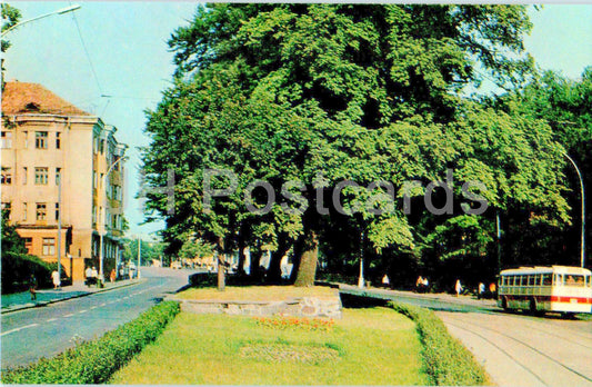 Kaliningrad - Mir prospekt - avenue - bus - 1972 - URSS Russie - inutilisé 