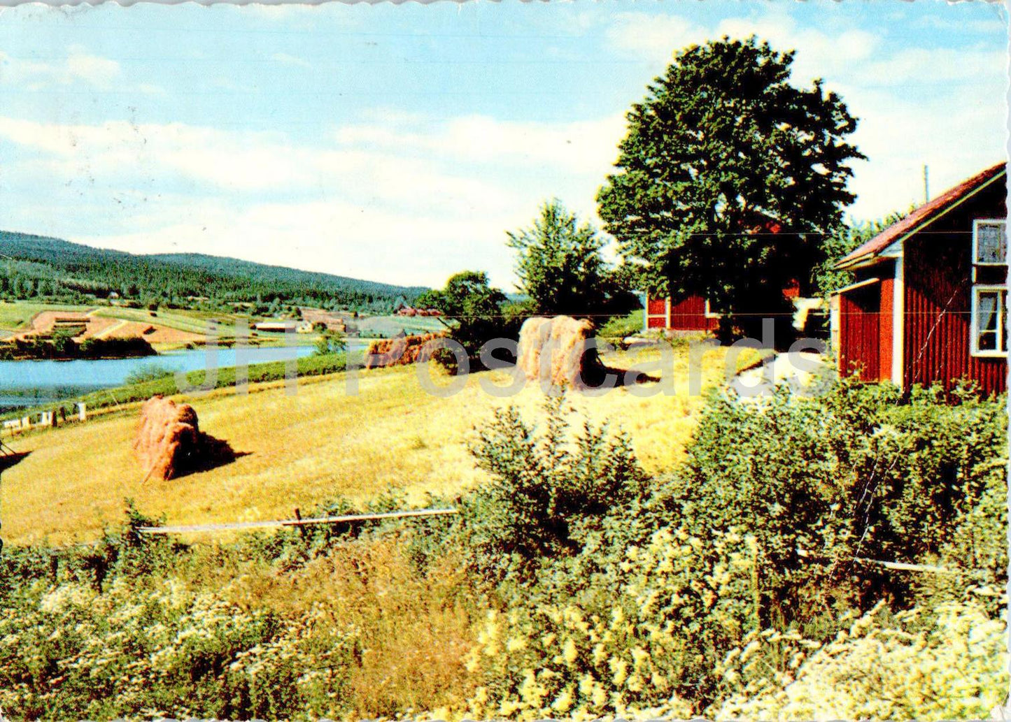 Paysage suédois - 2122/10 - 1962 - Suède - utilisé 