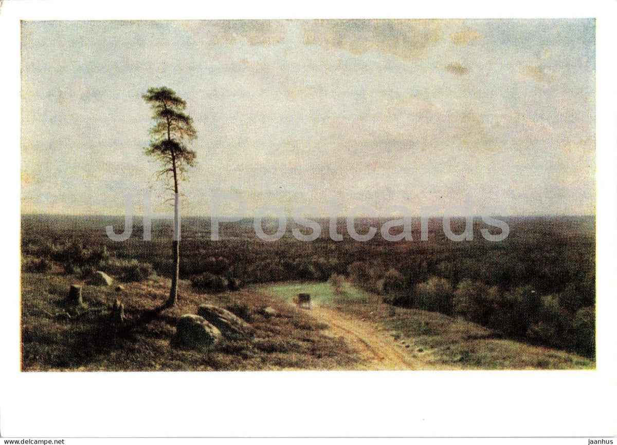 painting by Mikhail Klodt - Forest Distance at Noon - Russian art - 1964 - Russia USSR - unused - JH Postcards