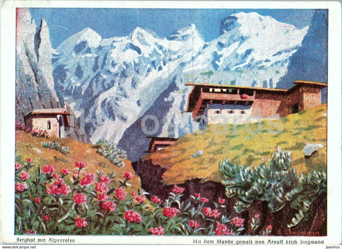 painting by Arnulf Erich Stegmann - Mountain Farm with Alpine Roses - German art - 1950s - Germany - used - JH Postcards
