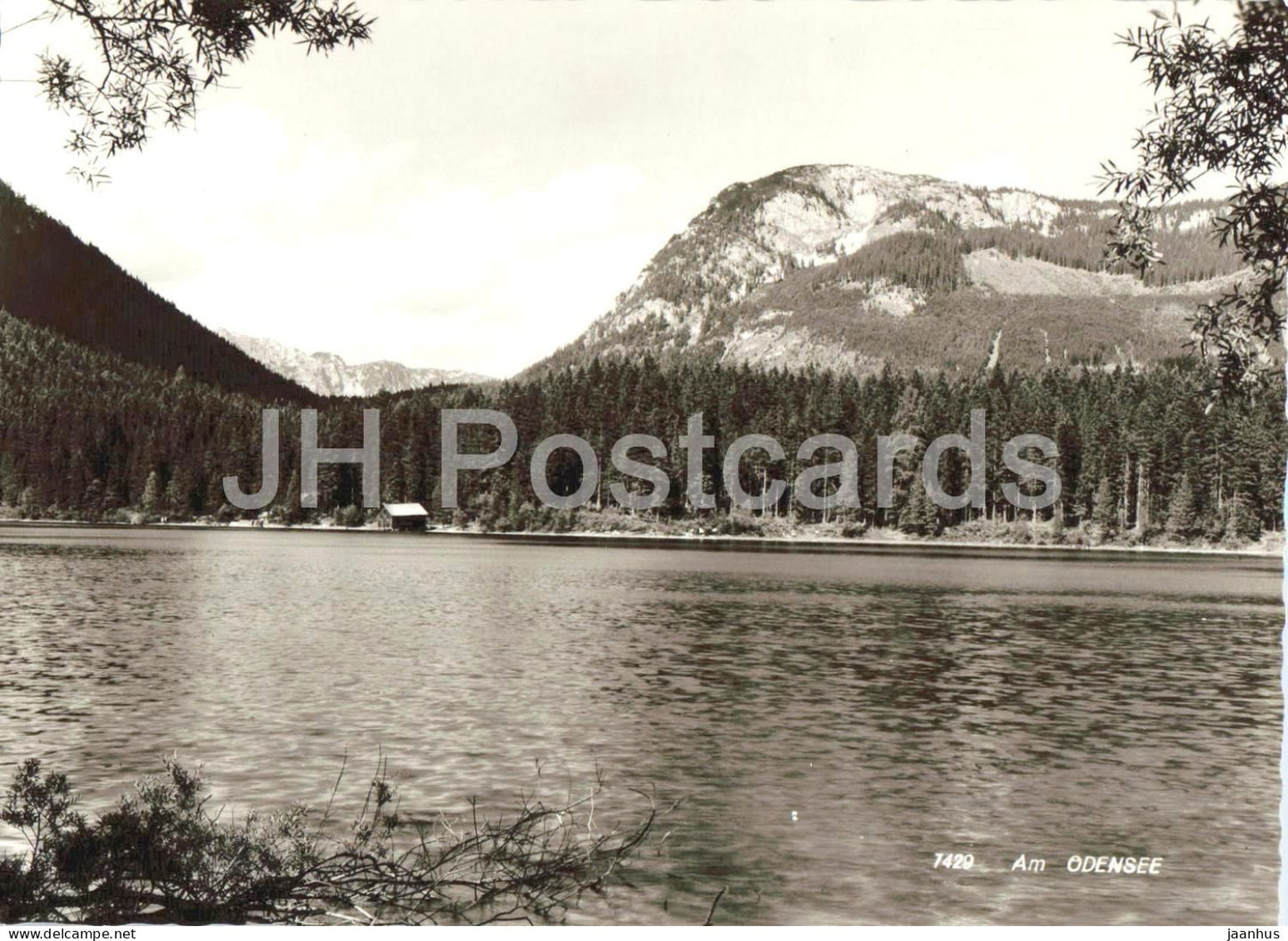 Am Odensee - lake - alpine landscape - forest - mountains - 7429 - old postcard - Austria - unused - JH Postcards