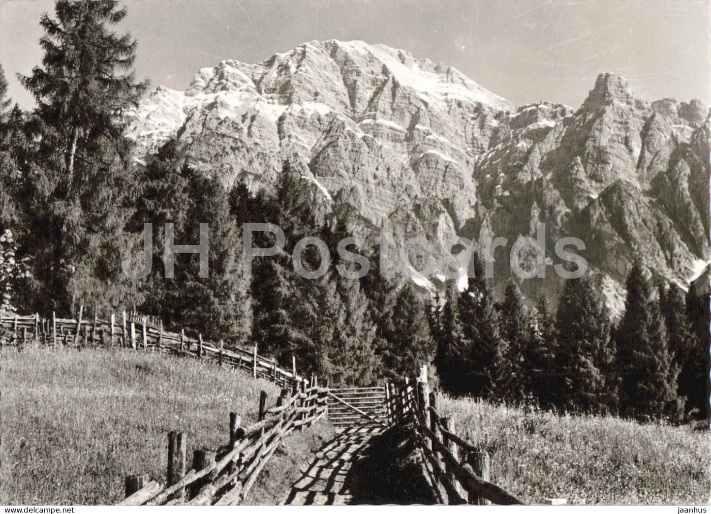Priesteregg - Leogang - Jausenstation Priesteregg - Leogang Seehöhe 1000 m - 5771 - old postcard - Austria - unused - JH Postcards