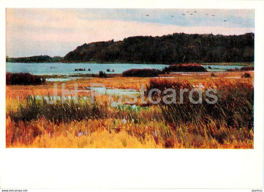 painting by B. Scherbakov - Duck Kingdom - Russian art - 1974 - Russia USSR - unused - JH Postcards