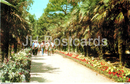 Nikitsky Botanical Garden - Palm alley in the Lower park - Crimea - 1974 - Ukraine USSR - unused - JH Postcards