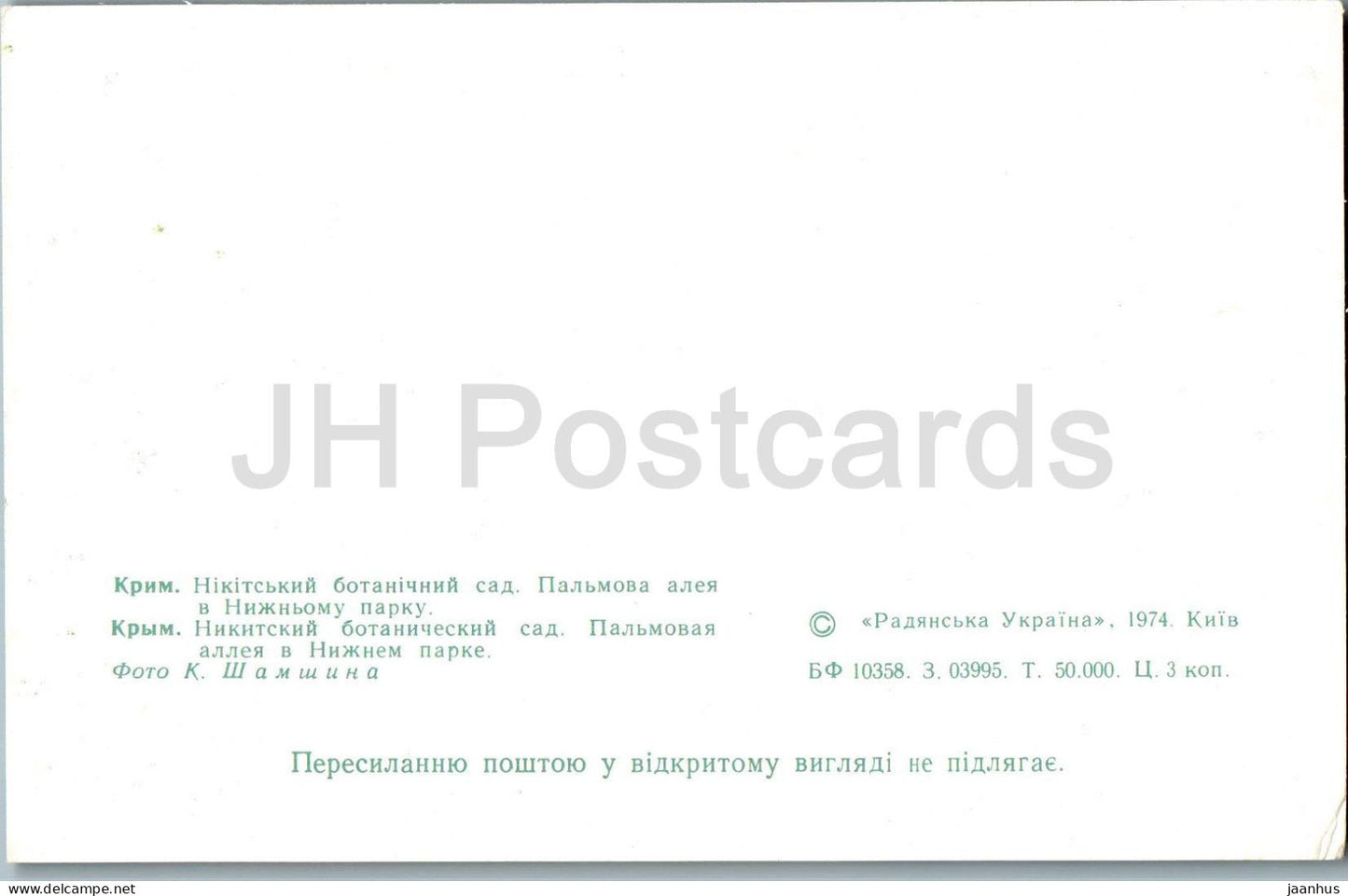 Nikitsky Botanical Garden - Palm alley in the Lower park - Crimea - 1974 - Ukraine USSR - unused