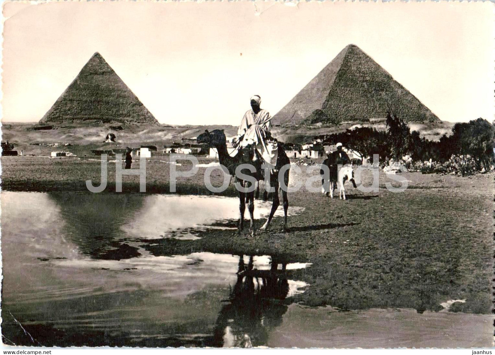 The Pyramids of Giza - camel riders - pyramids - animals - ancient world - 140 - old postcard - 1964 - Egypt - used - JH Postcards