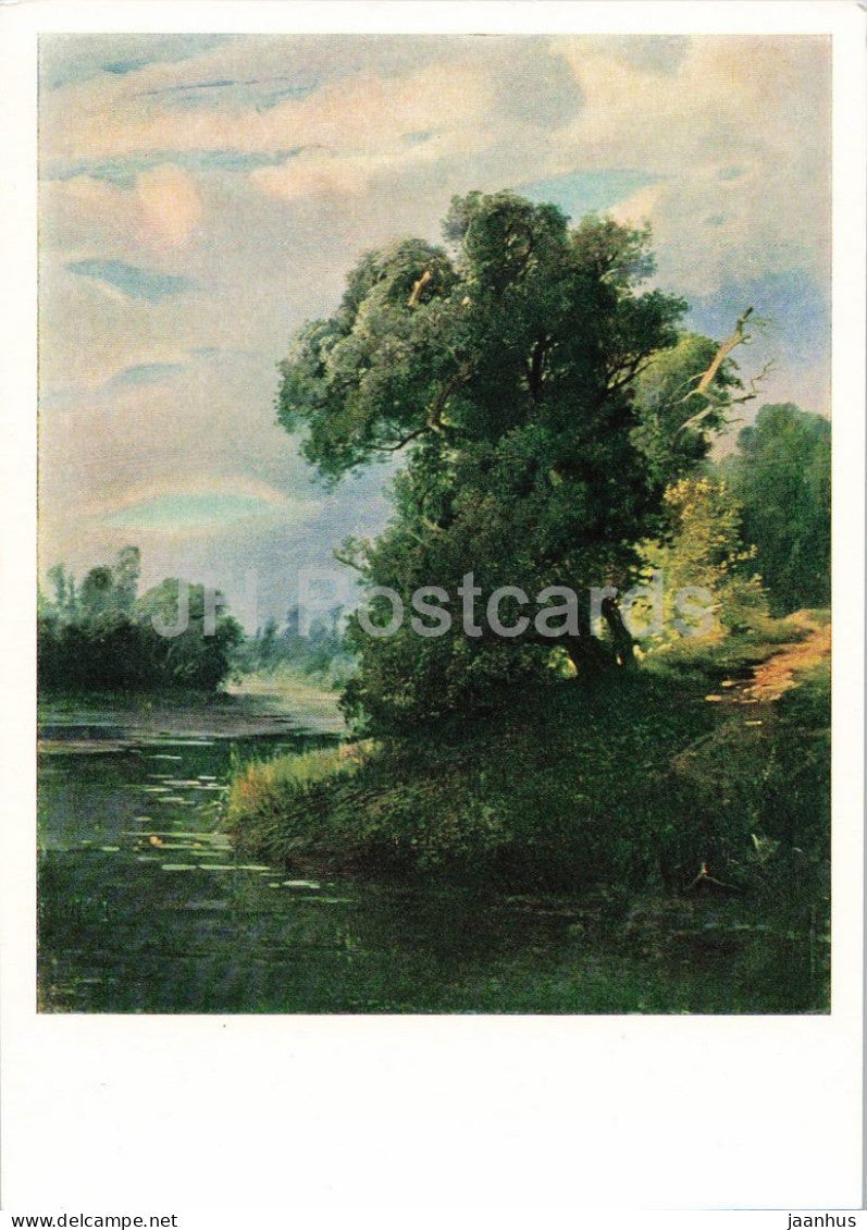 painting by Aleksey Savrasov - Trees on the River Bank - Russian art - 1966 - Russia USSR - unused - JH Postcards