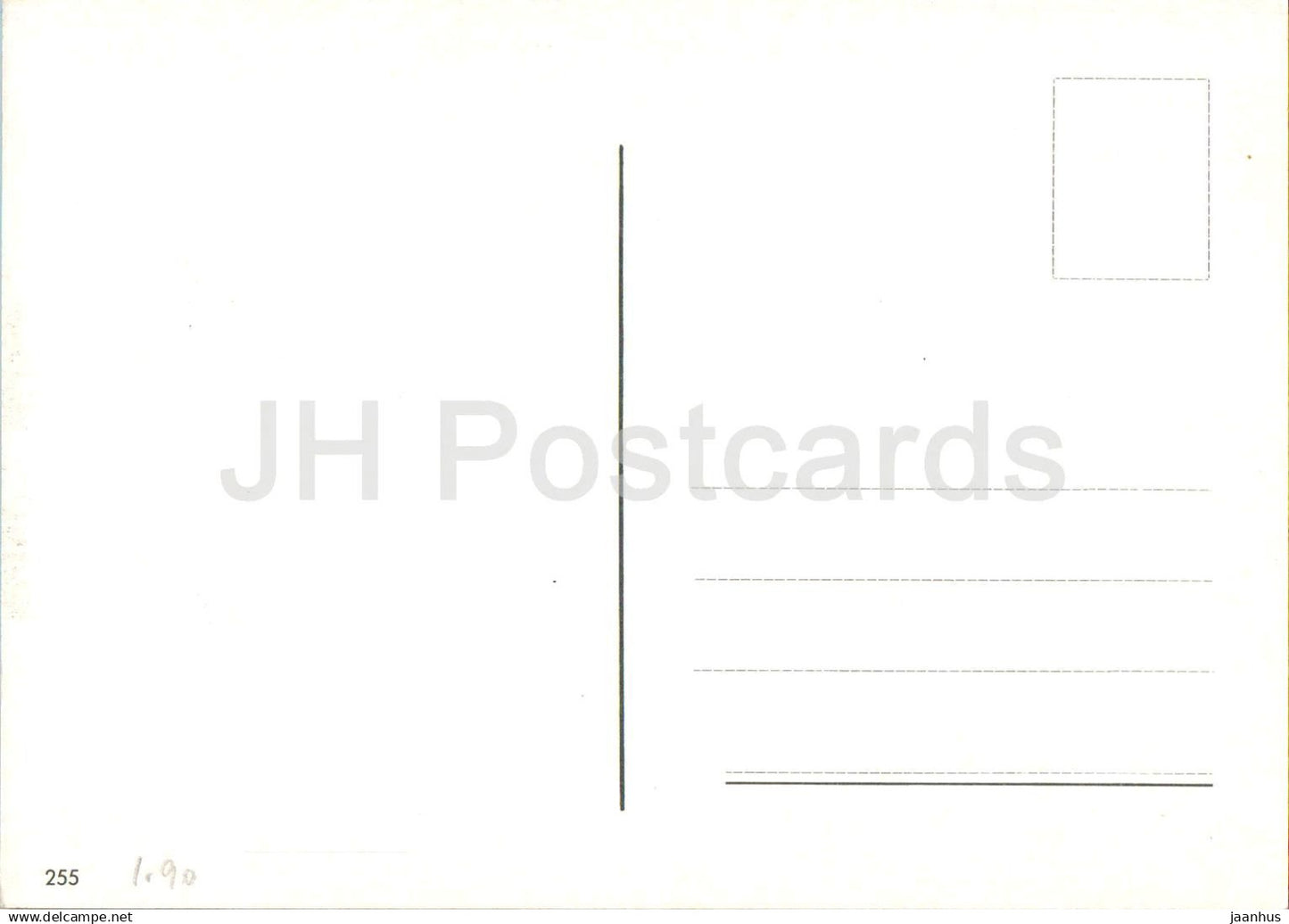 Cheval blanc et brun - chevaux - 255 - non utilisé 